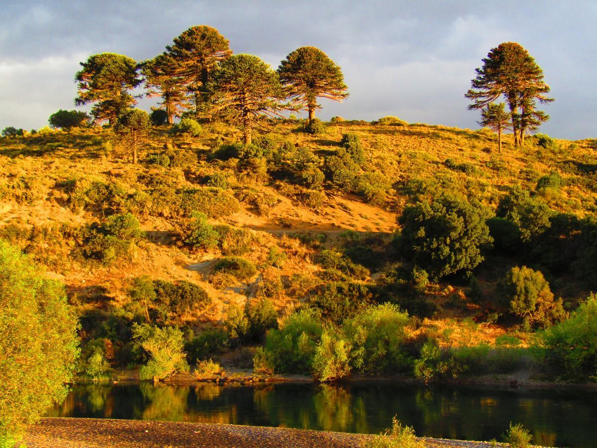 Hotel La Berendina Huechulafquen Lake Exteriér fotografie